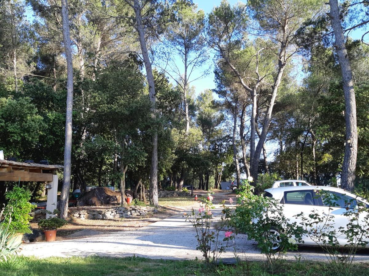 Villa La Licorne Piscine Privee, Jacuzzi, Massages, Tennis, Golf A 9Km Belcodene Exterior photo